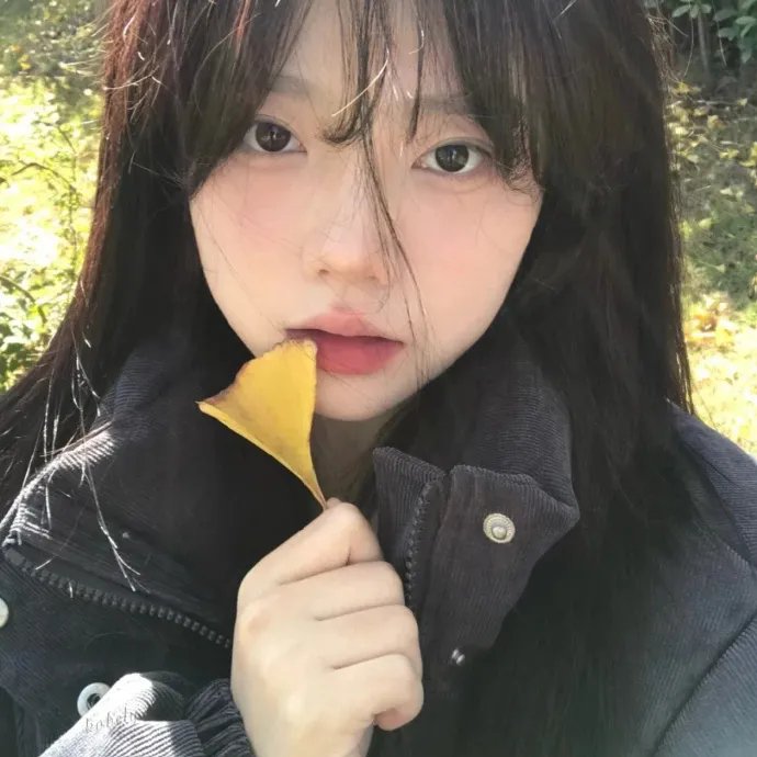 归来燕